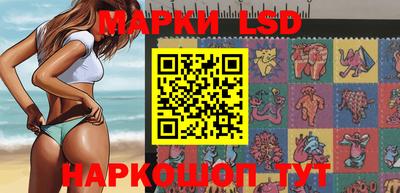 spice Обнинск