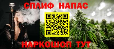 spice Обнинск
