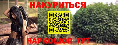 spice Обнинск