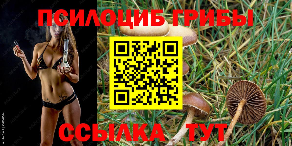 Галлюциногенные грибы Cubensis Советск