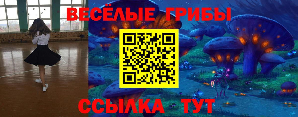 Псилоцибиновые грибы прущие грибы  Вход с VPN  Советск  Галлюциногенные грибы ЛСД 